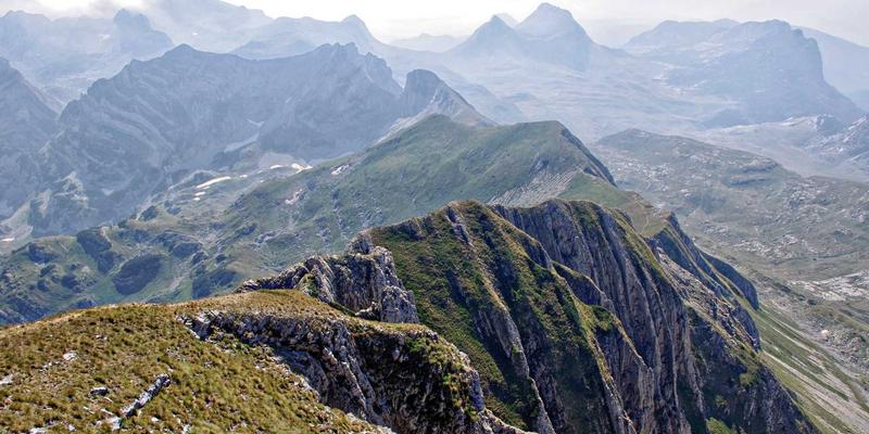 从温州正大看中外合资企业在华成功之道：机械制造领域的融合与创新