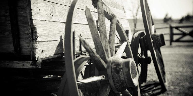 创新驱动未来：温州正大高端乳制品加工机械制造与工业解决方案深度解析