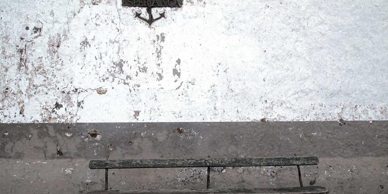 探访温州正大生产基地：揭秘现代化养殖背后的工业解决方案与设备制造