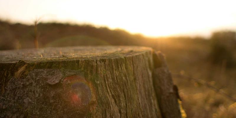 温州正大100：深耕机械制造，以卓越工业解决方案驱动产业未来