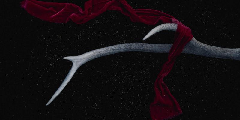 温州正大33：深耕机械制造领域，铸就工业设备卓越品质