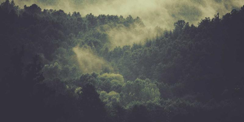 温州正大5：工业设备与解决方案的卓越实践者