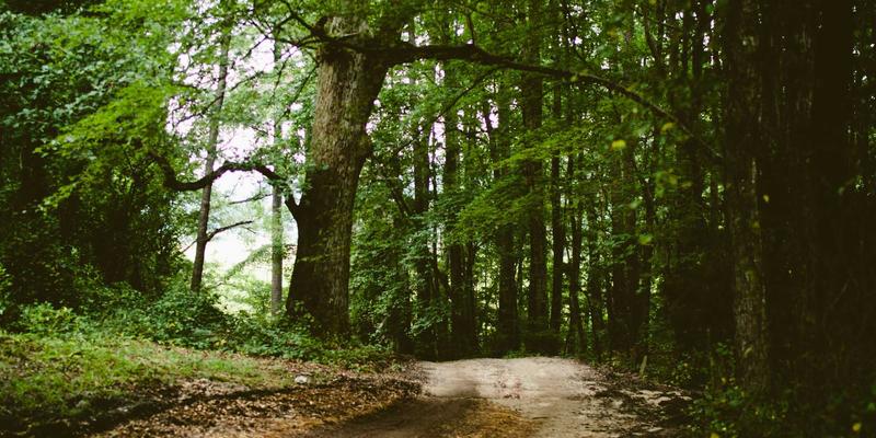 温州正大62：深耕机械制造领域，以创新工业解决方案驱动产业升级