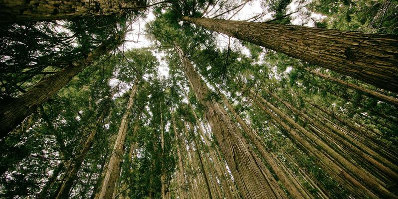 温州正大75：深耕机械制造，以创新工业解决方案驱动产业升级