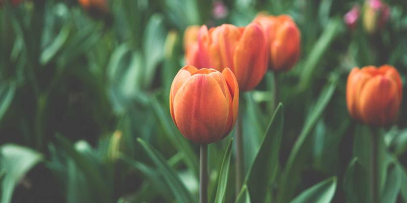 温州正大89：深耕机械制造领域，以技术创新驱动产业升级