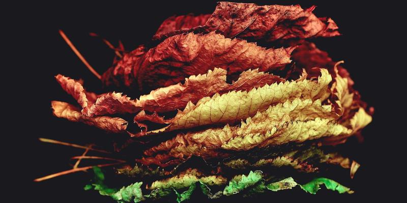 温州正大创新食品包装机械：以智能工业解决方案引领个性化与可持续包装新趋势