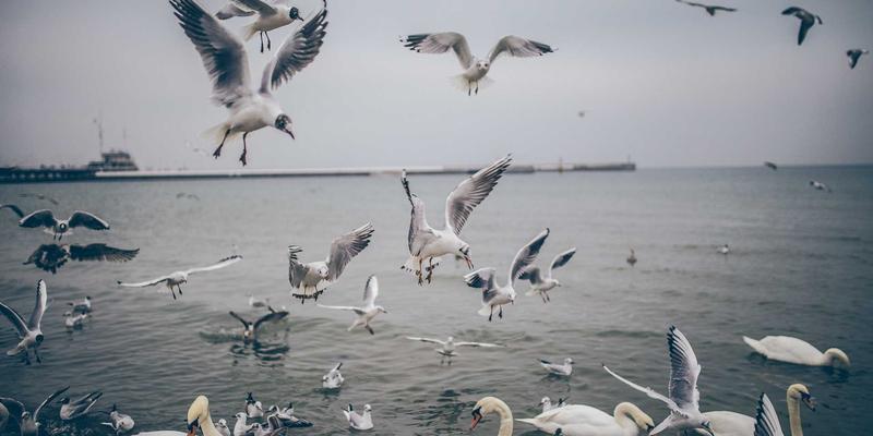 温州正大：工业解决方案的卓越伙伴，赋能制造业智能升级