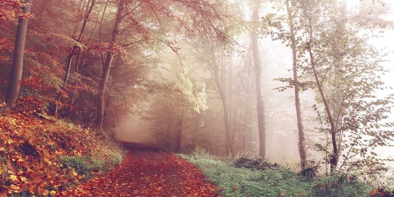 温州正大机械：以绿色制造引领机械设备行业的可持续发展新路径