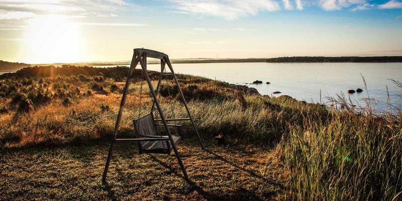 温州正大海外市场拓展策略：深耕东南亚食品机械市场的机遇与挑战